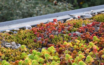 the cost of Little Bytham green roof installation
