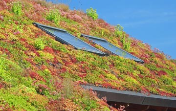 Little Bytham living roof systems