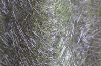 Little Bytham fibreglass roof work